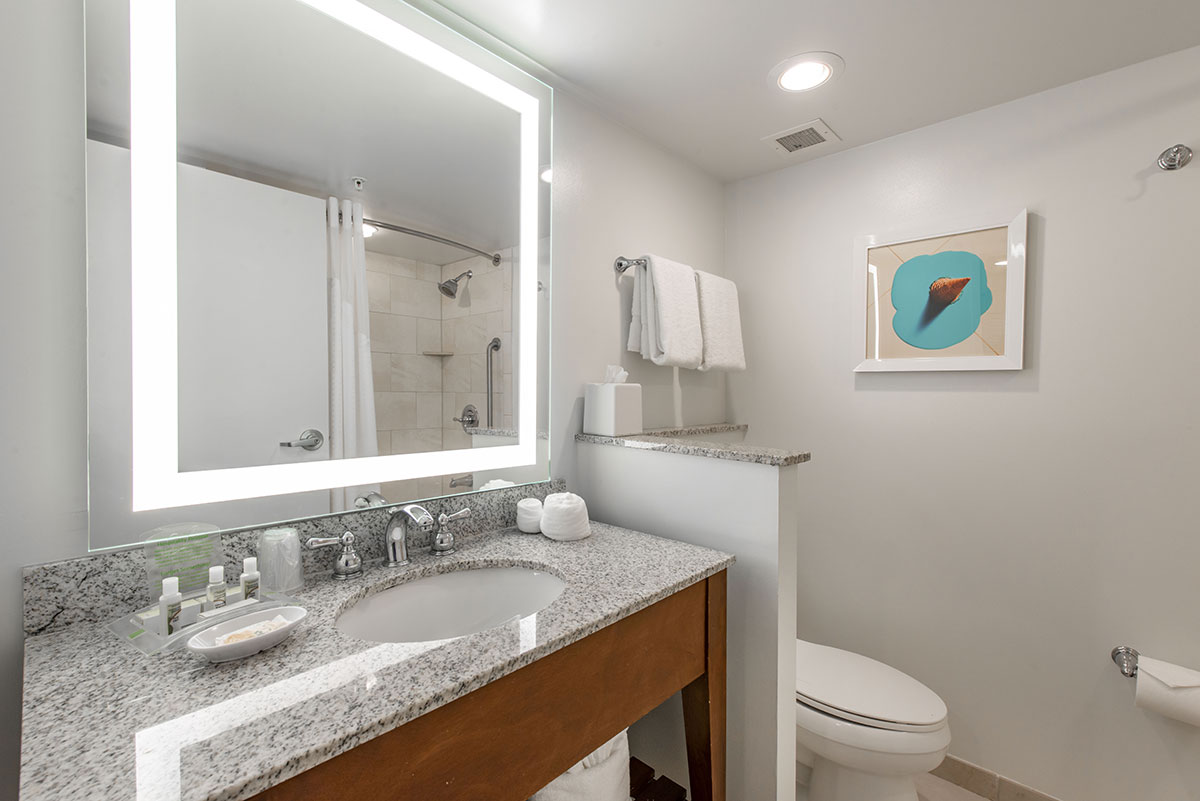 Holiday Inn Bathroom for Disney Springs Resort Area Hotels Disney