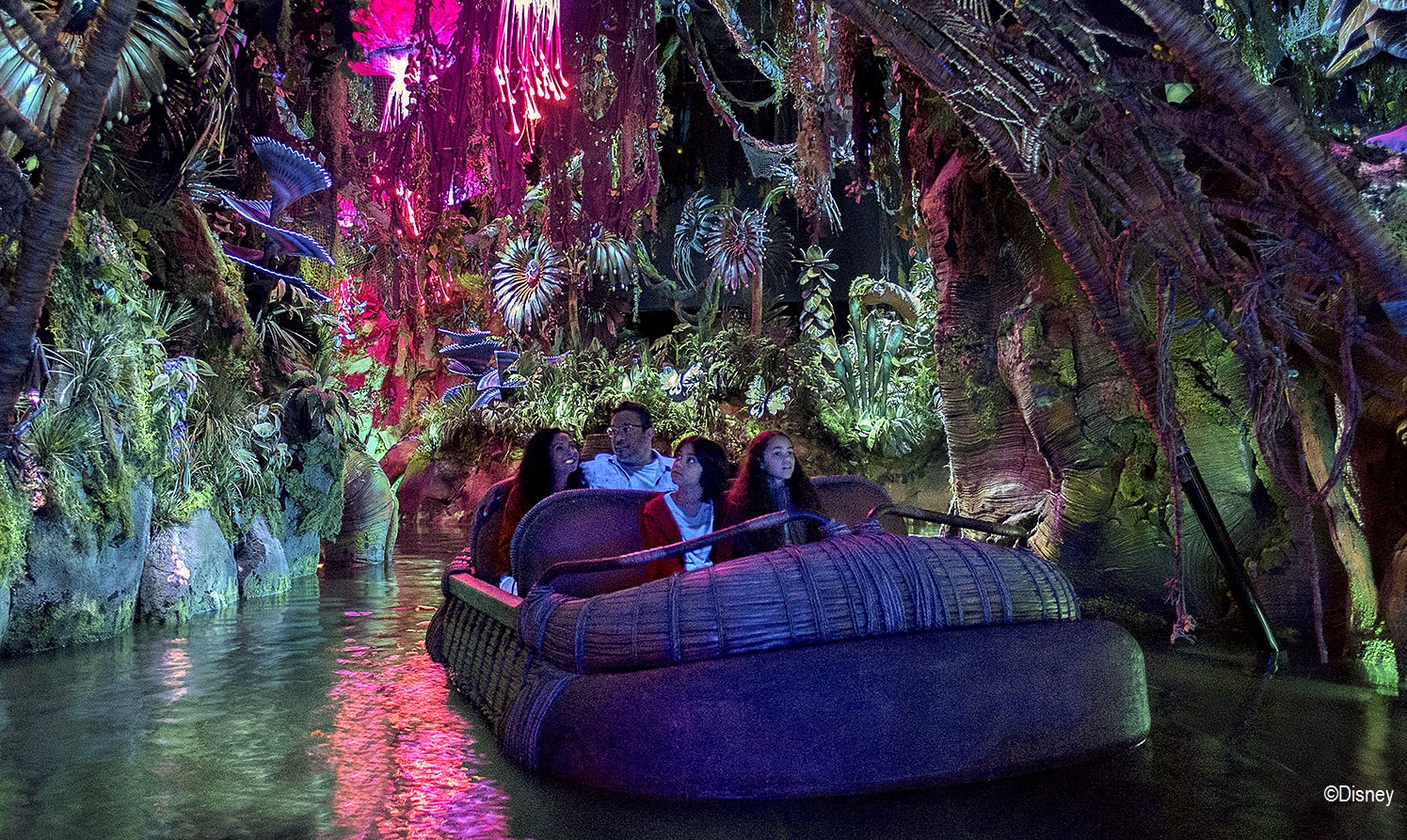 Top 5 Things To Do At Pandora The World Of Avatar Disney Springs Resort Area Hotels
