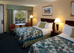 Wyndham Lake Buena Vista Resort - Guest Room