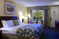 Wyndham Lake Buena Vista Resort - Guest Room