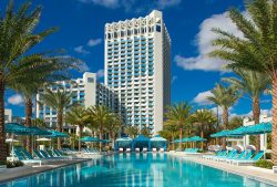 Hilton Orlando Buena Vista Palace Adult Pool