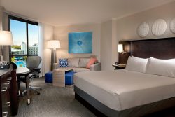 Hilton Orlando Buena Vista Palace King Guestroom Pool View