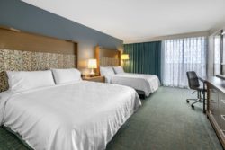 Holiday Inn Disney Springs Double Beds