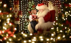Festival Of The Seasons - Meet Santa at Disney Springs