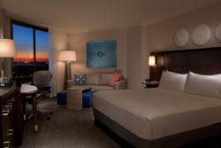 Hilton Buena Vista Palace - Disney fireworks view - one king bed