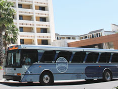 Disney Springs Hotels Complimentary Bus Service