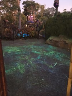 Lighted Walkway at Pandora in Disney's Animal Kingdom