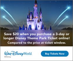 Walt Disney World Tickets Banner
