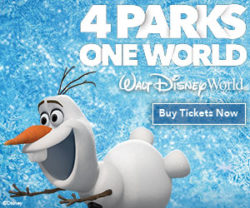 4 Parks 1 World - Disney theme park tickets