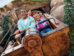 Disney's Mine Train Ride at Magic Kingdom theme park