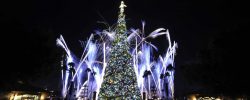 Holidays around the World Showcase Tree Image at Epcot® International Festival of the Holidays