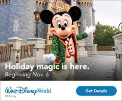 Magic is Here at Walt Disney World Resort