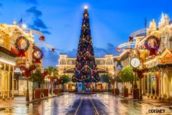 Christmas Tree Magic Kingdom