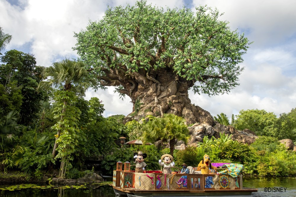 Disney's Animal Kingdom Cavalcade in front of Tree of Life
