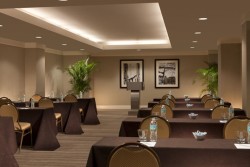 Hilton at Disney-Springs Hotels in Orlando - Camellia Dogwood