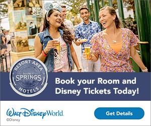 Buy Disney Theme Park TIckets & Reserve Your Park Reservation today!