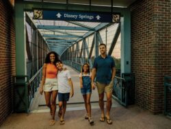 Buena Vista Palace Disney Springs Hotels Shades Bridge