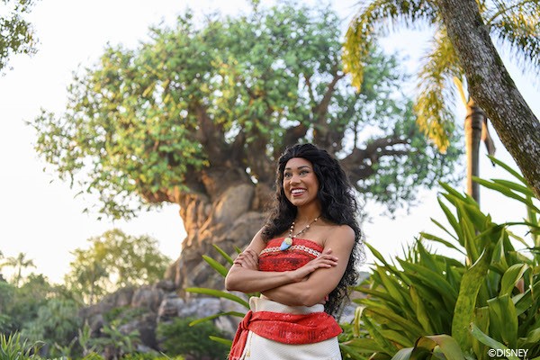 Meet Moana at Disney's Animal Kingdom