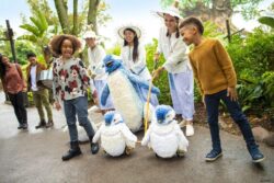 Disneys Animal Kingdom - Holiday Penguins
