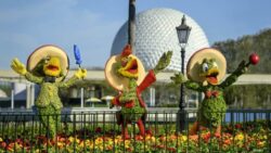EPCOT® International Flower and Garden Festival - the 3 Caballeros topiaries