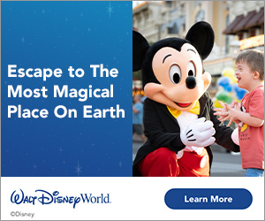 Walt Disney World Tickets to buy