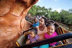 Big Thunder Mountain Railroad