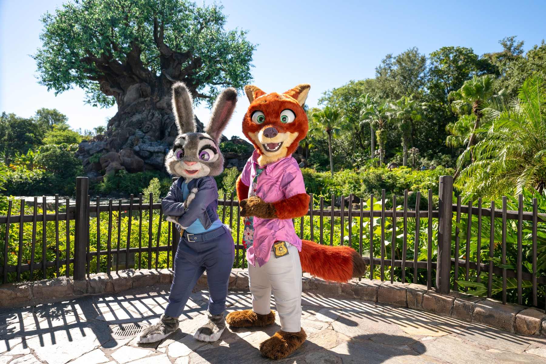 Zootopia Better Zoogether at Disney's Animal Kingdom